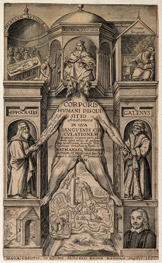 A monument within which is suspended the flayed skin of a man, with a canal system as an allegory of the circulation of blood, and other allegories of anatomy. Engraving, 1651. Wellcome Collection. Source: Wellcome Collection. Public Domain